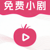 k8影视永久vip版